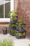 green basics stack & grow large living noir